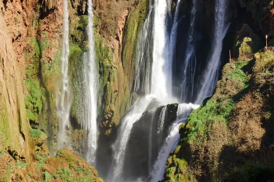 Visite de la Faune du Parc National de Souss Massa
