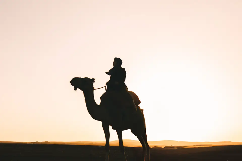 Balade à dos de chameau au coucher du soleil à Agadir avec thé et gâteaux