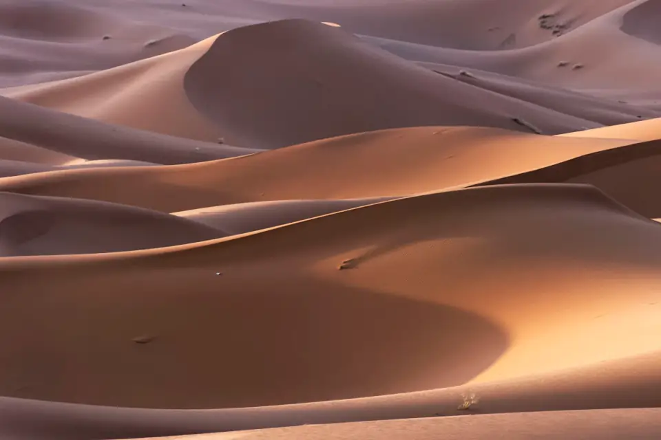 Triple sensation dans le désert : Sandboarding, Quad & Chameau