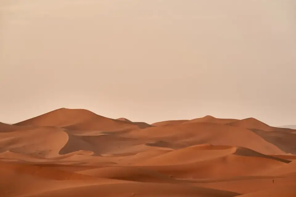 Aventure de Sandboarding depuis Taghazout - Expérience des Dunes de Timlalin