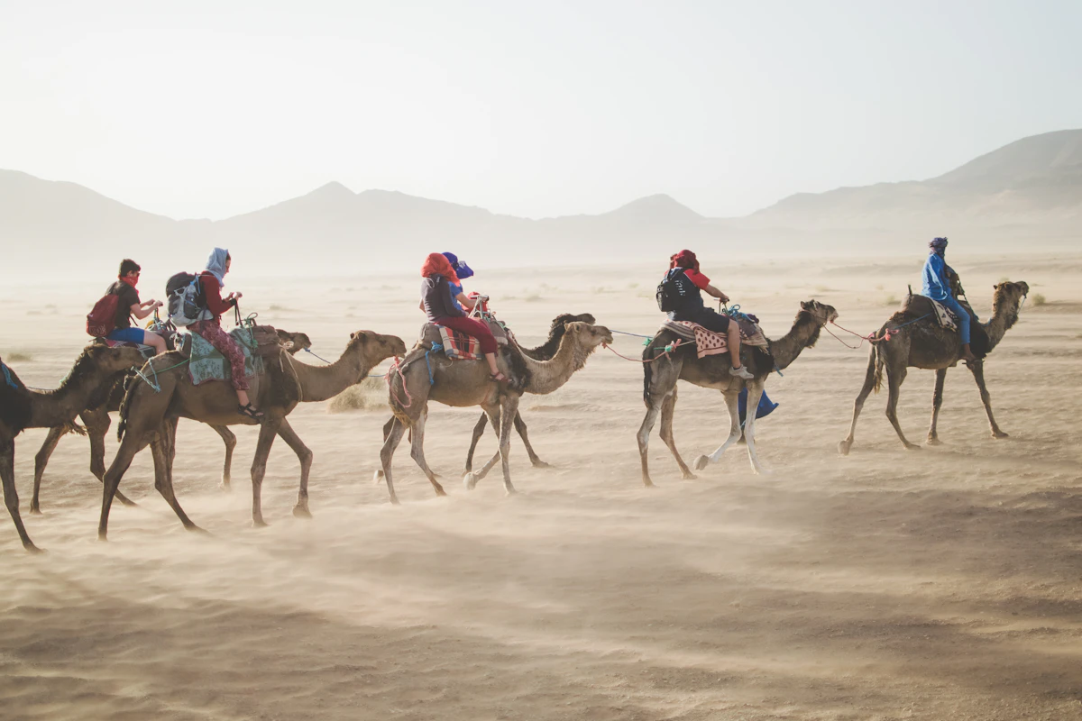 سفاري الصحراء ومنتزه سوس الوطني