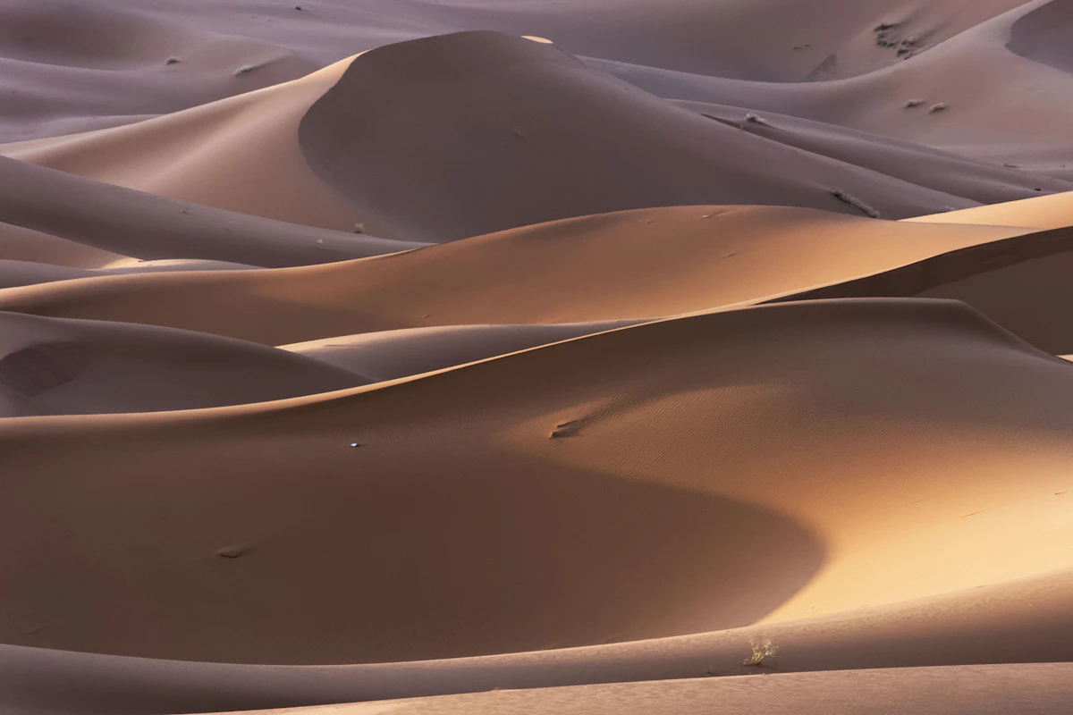 الإثارة الثلاثية الصحراوية: التزلج والدراجات الرباعية والجمال