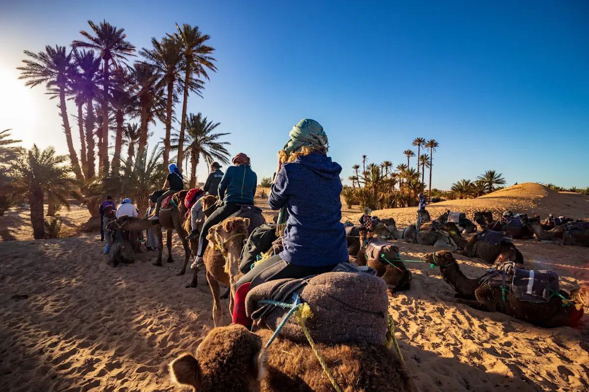Trek à dos de chameau dans le désert du Sahara